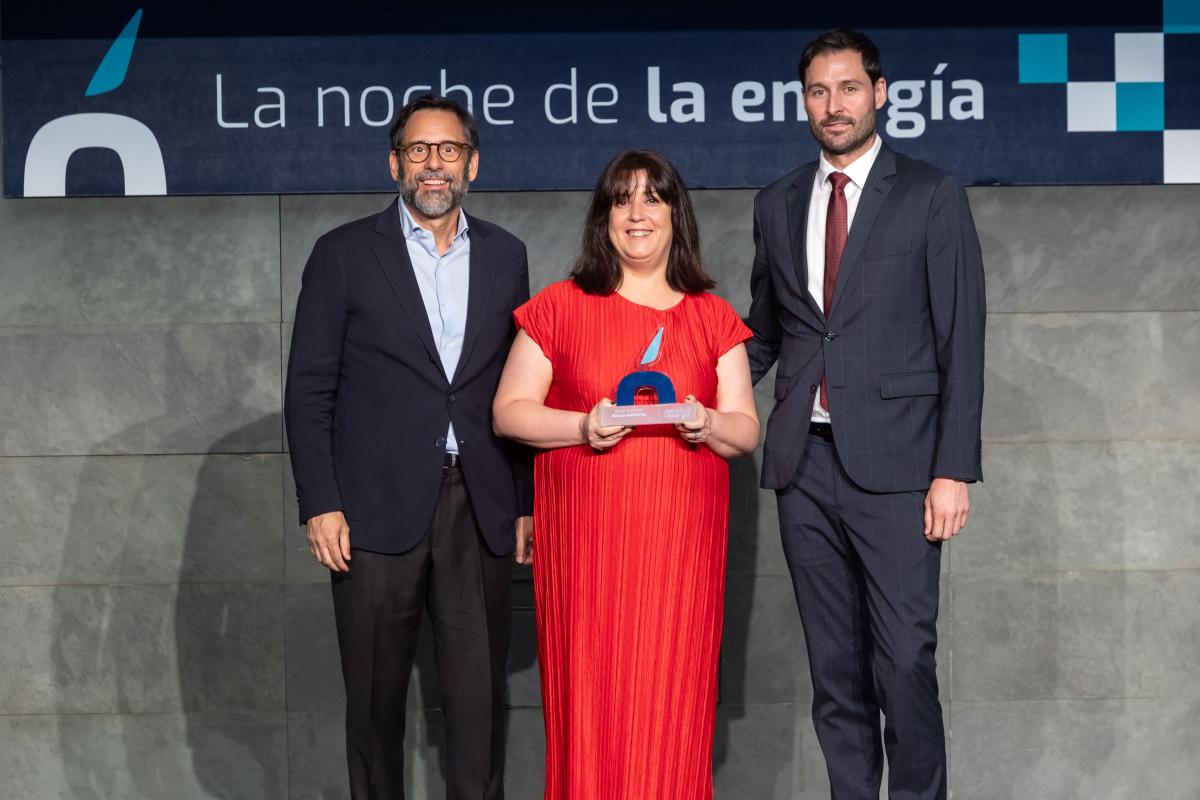 Iniciativa Pública Energética